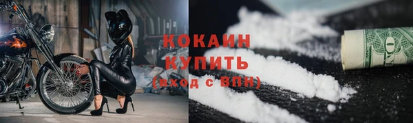 прущие грибы Новокубанск