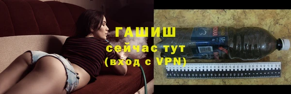 СК Новодвинск
