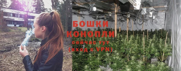 каннабис Новозыбков