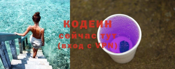 PSILOCYBIN Няндома