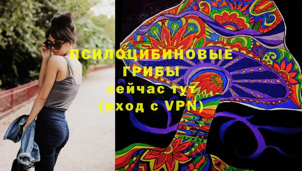 каннабис Новозыбков