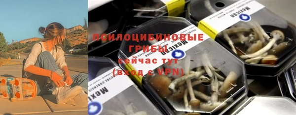 PSILOCYBIN Няндома