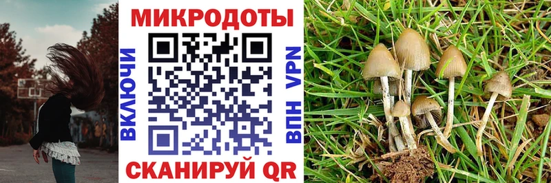 где купить наркотик Мичуринск Галлюциногенные грибы Magic Shrooms
