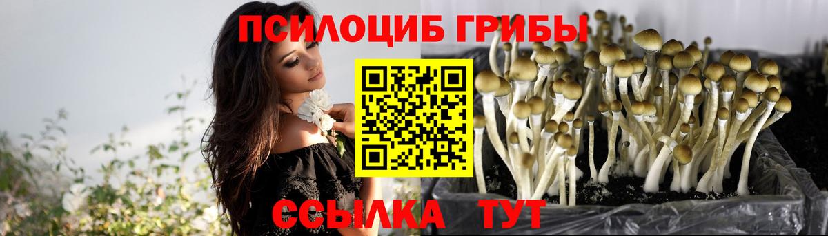 Псилоцибиновые грибы мухоморы  Вход с VPN  Галлюциногенные грибы GOLDEN TEACHER  Мичуринск 